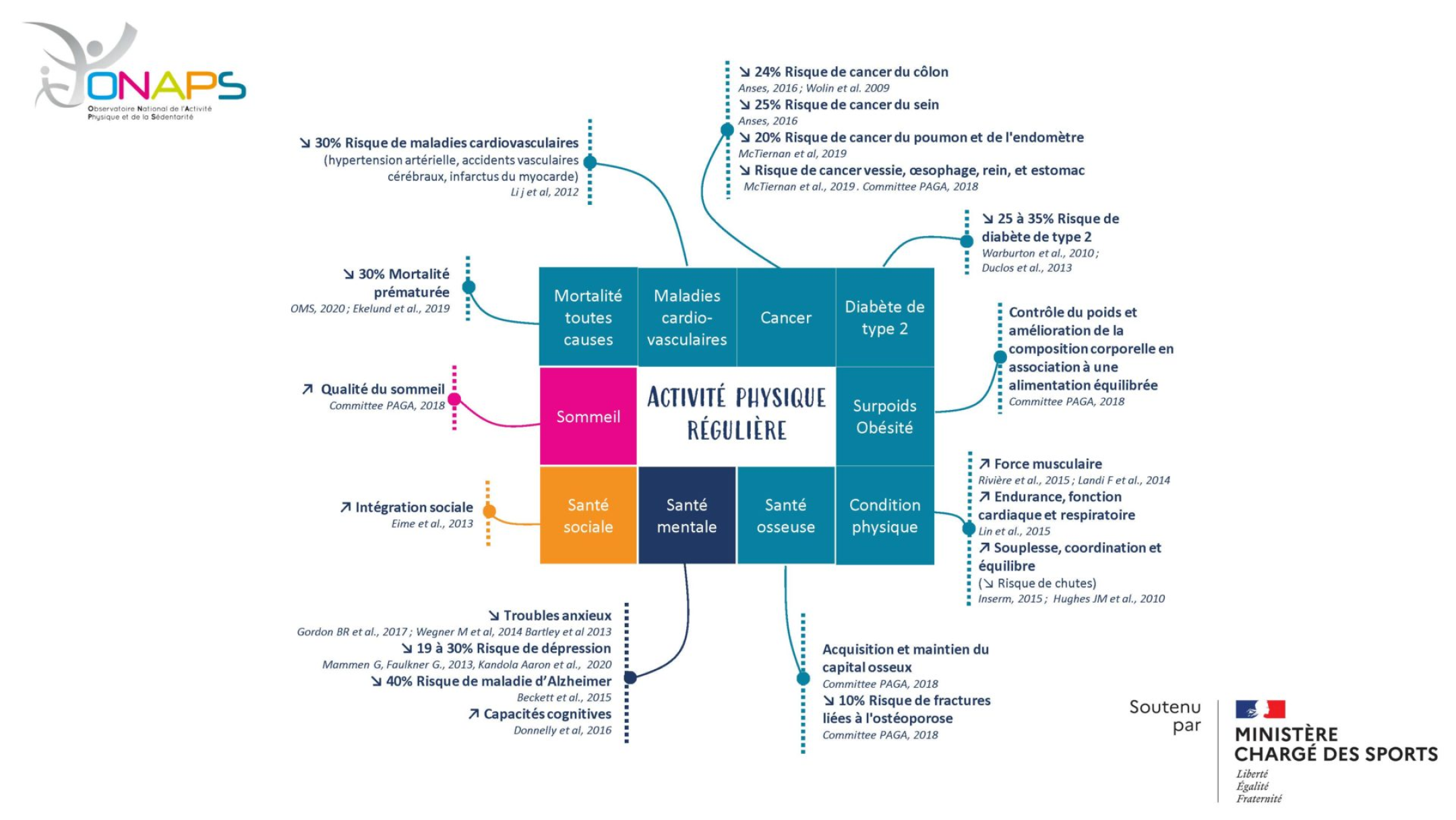 Schéma ONAPS — Bénéfices de l'activité physique régulière