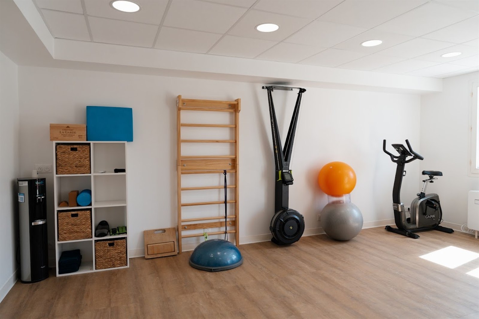 Salle principale : espalier, rameur, ballons de gym et vélo d'appartement